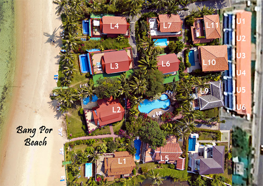 aerial coconut laguna